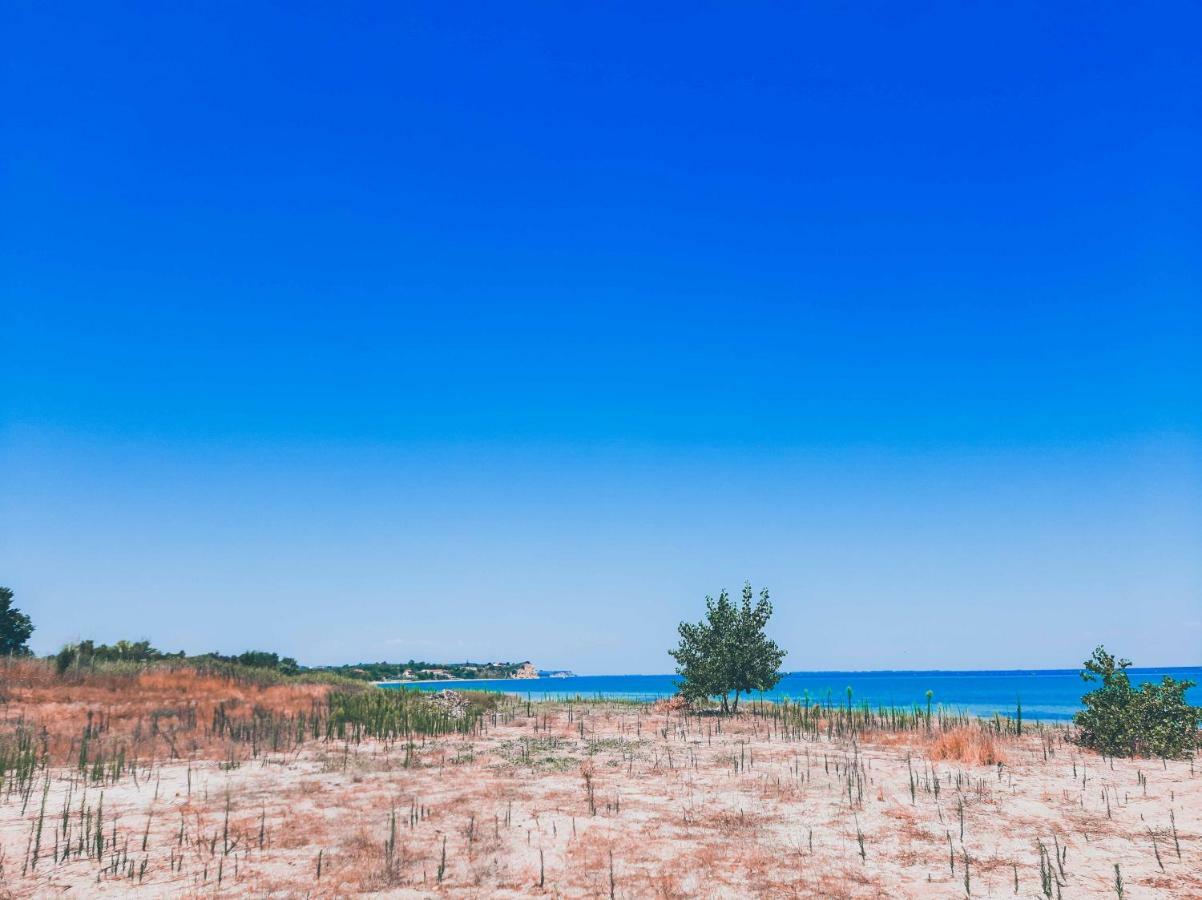 Aktaion Hotel Skala Alykis Exterior foto
